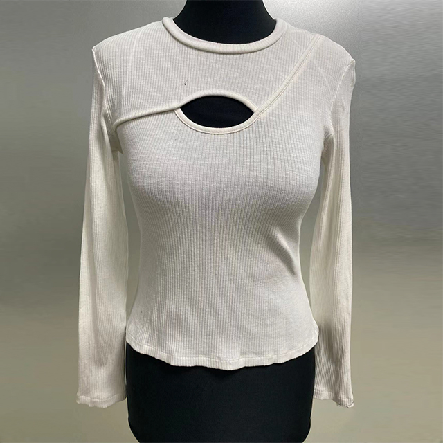 Women's Long Sleeve Fitting Top